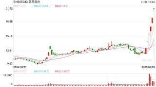 “一证一品”政策成催化？6连板美邦股份提示三大风险