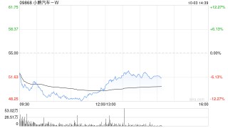 小鹏汽车-W根据股权激励计划发行3.2万股A类普通股