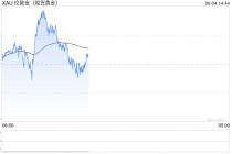 全球央行因金价上涨4月净买入放缓，但整体买盘预计将继续