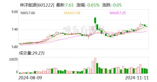 林洋能源：前三季度拟派发现金红利5.47亿元