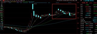 晓数点丨11月十大牛股出炉：日出东方逾393%涨幅问鼎榜首