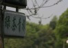 4年5度IPO，绿茶餐厅未上市已过时？