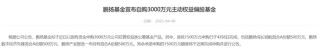 多家基金公司出手， 自购权益基金并至少锁一年