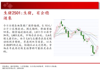 中天期货:玉米回踩均线 生猪有企稳迹象