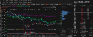 ST南卫资金占用已被处罚，符合条件的投资者务必关注！