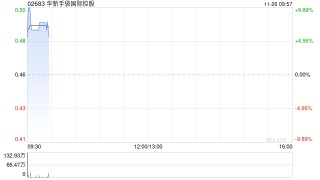 华新手袋国际控股将于2025年1月17日派发特别股息每股0.01港元