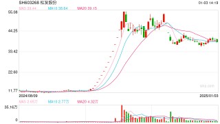 营收5连降，资产负债率高企，松发股份如何确保转型成功