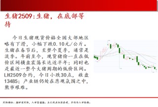 中天期货:螺纹减仓反弹 玻璃低位反弹