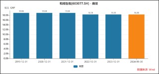 和邦生物46亿可转债募资理由是否说谎？曾被质疑财务造假 250亿资产是否埋雷