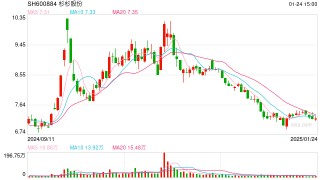 杉杉股份“危机四伏”：业绩骤变转亏 控股股东被申请重整！遗孀“上位”挑战多