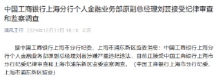 工商银行上海分行个人金融业务部原副总经理刘芸接受纪律审查和监察调查