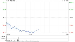 美银消费者投资超5000亿美元 目标升至1万亿