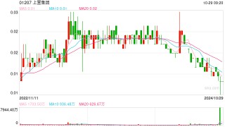 上置集团：未能于最后限期前达成所有复牌指引，被联交所决定取消上市地位