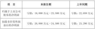 预计2024年至少亏损1.9亿元，这家A股公司全体高管自愿降薪20%