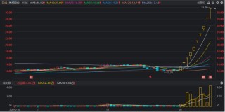 年内首个10连板股！多路活跃游资参与，近年连板高标盘点