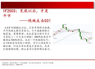 中天期货:玉米反弹延续 棕榈重心下移