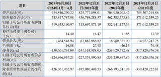 重启！一亏损企业申请IPO