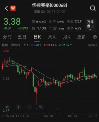 华控赛格董事长、董秘、副总经理三高管同日辞职