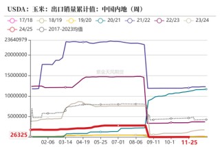 玉米：静待花开