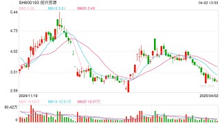 担保逾期后再加码担保额度遭董事反对，创兴资源应强化风险评估与监控
