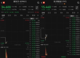 新东方、东方甄选，双双大跌