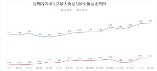 每日猪讯11.19