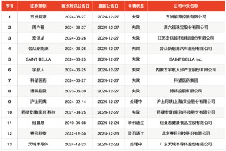 IPO周报｜2024年最后两只新股今日网上申购，均为赛道龙头