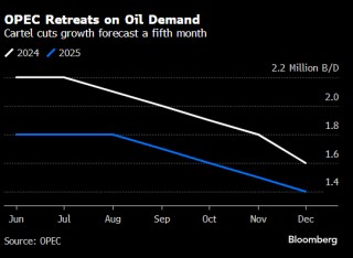 OPEC对2024年全球石油需求预测作出迄今最大幅度的下调