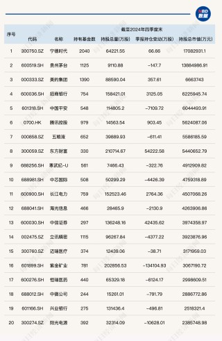 公募基金2024年四季度重仓股全扫描：宁德时代跃居第一大重仓股，寒武纪-U、中芯国际等半导体行业个股被减持