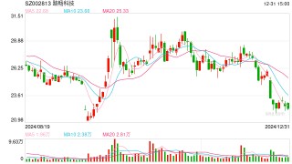 路畅科技*ST风险高悬：实控人套现14亿离场 重组吃相难看终流产、中联重科重金换来"烫手山芋"