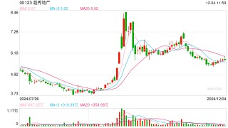 越秀地产：前11个月销售额约1010.2亿元，完成年销售目标的68.7%