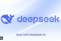 一文读懂 | 关于DeepSeek公司及其大模型