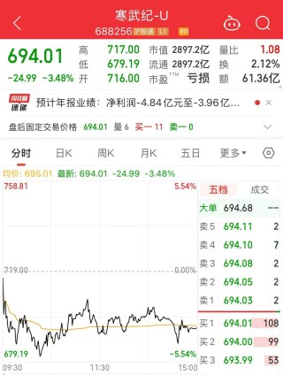 2900亿市值巨头，突发利空！股价去年涨超387%