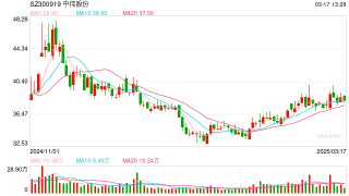 中伟股份拟赴港IPO：A股上市四年直接融资超百亿 募投项目延期变更海外扩张接连受挫