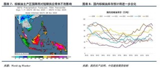 洪涝加剧供应担忧，棕榈油重拾涨势