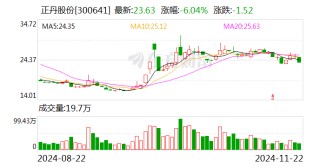 正丹股份：终止2024年度向特定对象发行股票事项