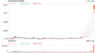 “12连板+地天板” 大涨245%！大牛股：可能被实施退市风险警示！