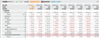 华控赛格董事长、董秘、副总经理三高管同日辞职