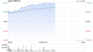 汽车股持续走高 零跑汽车涨逾16%小鹏汽车-W涨逾6%