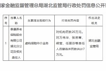泰康养老湖北分公司被罚20万元：虚构保险中介业务