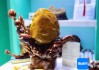 昌江玉、黎陶茶具、黎锦壁挂……昌江好物亮相消博会 赋能商贸文旅融合新机遇