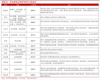 保险深度丨阳光保险首次覆盖深度报告：综合性民营保险集团，保险及投资业务兼具成长及特色【中泰非银·蒋峤/戴志锋】