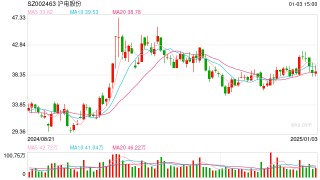 复盘2024基金业绩排名战！运气还是实力？重仓股都有什么特性？