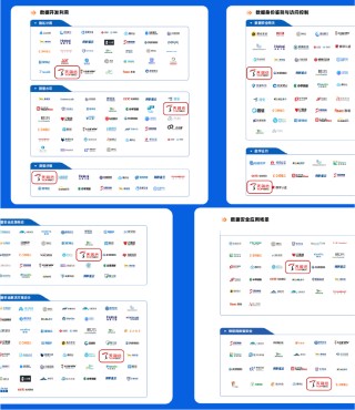 天融信独家全领域入选《2024年中国数据安全企业全景图》