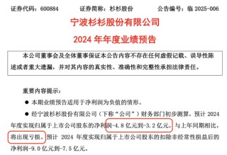 杉杉股份“危机四伏”：业绩骤变转亏 控股股东被申请重整！遗孀“上位”挑战多
