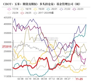 玉米：静待花开