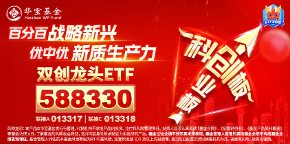 创业板+科创板携手反扑！海光信息涨超6%，双创龙头ETF（588330）盘中涨逾2%  第4张