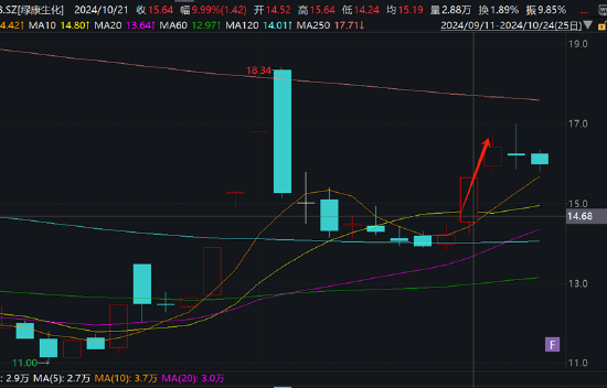 绿康生化故技重施？曾借重组引燃股价高管高位减持 百兴系百佳年代质地欠佳  第3张