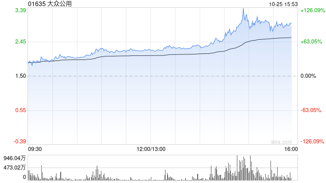 创投概念受资金追捧 大众公用午后放量暴涨114%  第1张