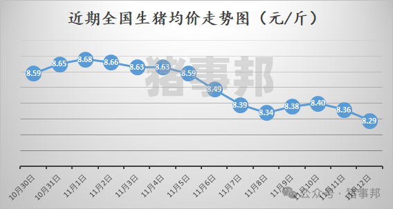 11月12日猪价汇总（均价再度刷新近5个月新低！）  第3张